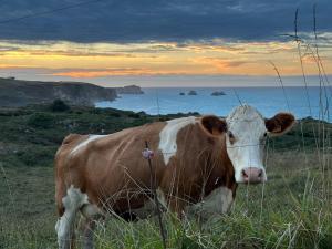 Apartamento Camino a Lancha a un paso de La Playa de Usgo