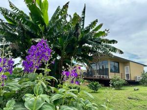 Villa Encanto Ecolodge
