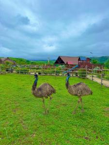 Villa Encanto Ecolodge