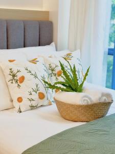 City Garden Inside IT Park Gym & Pool Fast Wi-Fi