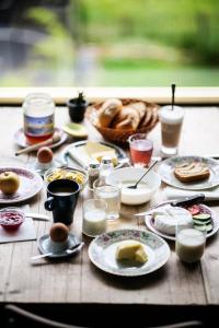 Mellow Mountain Hostel