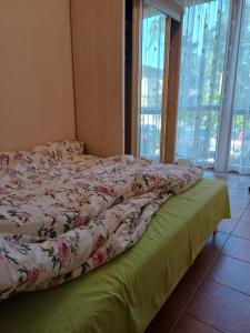 Geriausia vieta Palangoje