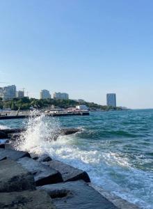 Квартира студия