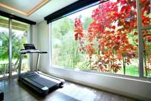 El Jardín del Edén - Para Tu Niño Interior