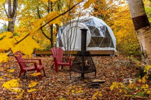 Dôme Forestier - Expérience Glamping détente - Ubytování bez kategorie ve městě Saint-Philémon