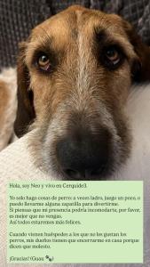 CERQUIDE3