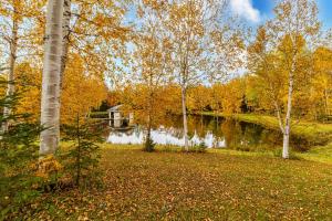 Chalet le Coyote Lac, Micro Ferme, Sentier Du Domaine, Vue Sur Les Monts, Idéal 2 4 Personnes