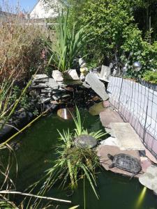 Maison dhôte avec jardin