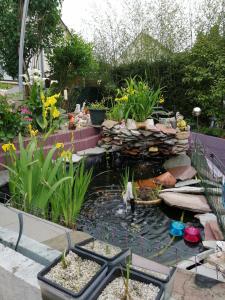 Maison dhôte avec jardin