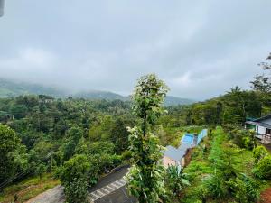 Vagamon Hillvalley Pool Resort