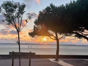 Studio vue port, Arcachon, piscine, wifi