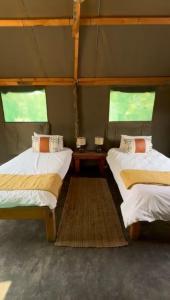 Aabadi Mountain Camp