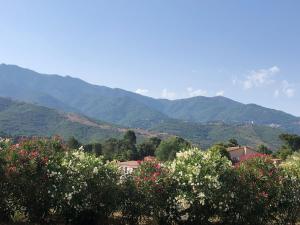 Bas de villa 80m2 secteur Ajaccio