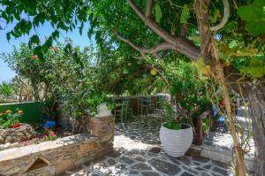 Studios Tasia Naxos Greece