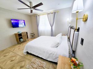 Casa Azul in Tolantongo Caves