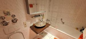 40 Minuten zur Wiesn mit SBahn