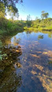 Cabana com vista para a Natureza