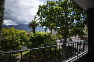 Chic apartment with a beautiful view