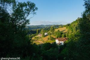 Pensiunea Glasul Pădurii