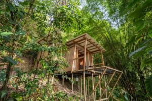 BAJO EL CIELO Glamping MINCA