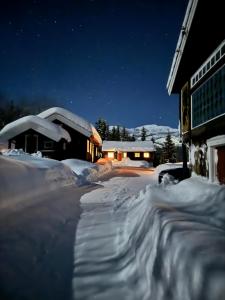 Ski lodge with sauna and hot tub