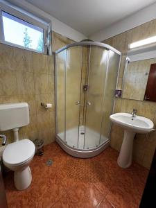 Pensiunea Doina Sacele