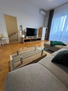 Central Terrace Apartment