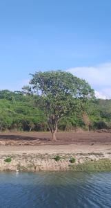 Amazing apartment cerca the beach Manzanillo Sector