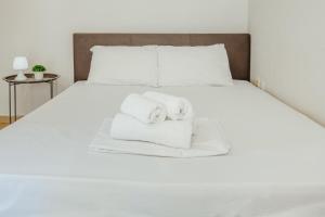 Stylish Flat Downtown