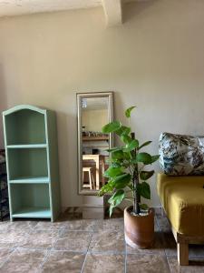 Loft Maloqueña - Balcony - Full Kitchen - 3 Beds