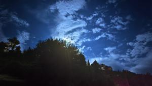 Gyabak homestay, Kaffergaon, Kalimpong