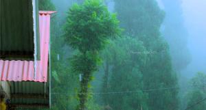 Gyabak homestay, Kaffergaon, Kalimpong