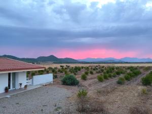 Agri B&B Zayna Sardinia