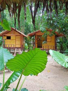 Khai jungle wassanacamp