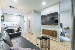 A Downtown Luxury Apartment