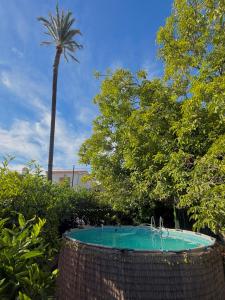 Glamping de Huerta La Arboleja