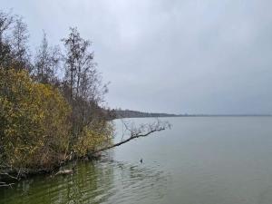 4 person holiday home in Frederiksværk-By Traum