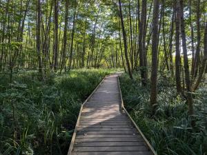4 person holiday home in Frederiksværk-By Traum
