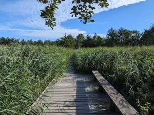 4 person holiday home in Frederiksværk-By Traum