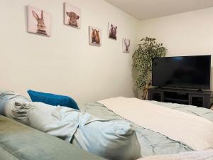 BUDGET Cozy Entire Guest Suite in Central Edmonton
