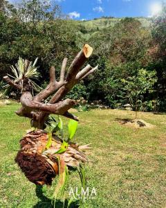 Cabañas para parejas