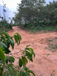 SkyScape Homestay- Best Homestay near to falls ettina bhuja treaking, devaramane, bettadhabiraveshvara