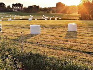 4 person holiday home in TRELLEBORG-By Traum