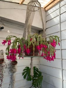 Hospedaje en borde río