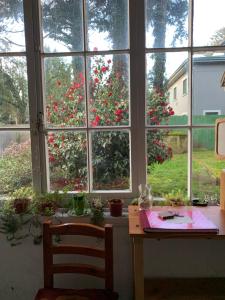 Hospedaje en borde río