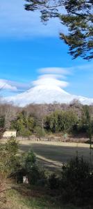 El Rincon de la Olguita