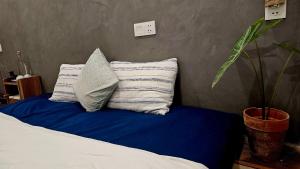 La Sen-Thu An-Có cửa sổ nhìn ra ban công