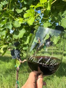 Ursa Major at The Retreat