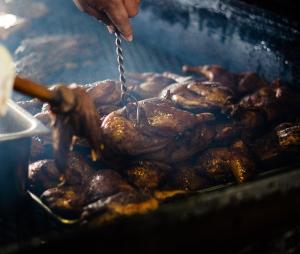 Ursa Major at The Retreat