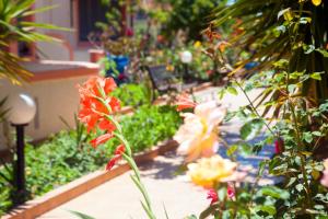 Palmira Apartments Lasithi Greece